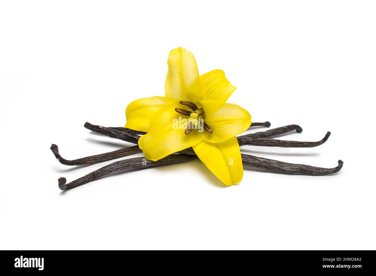 Vanilla Beans and Flower Stock Photo Alamy