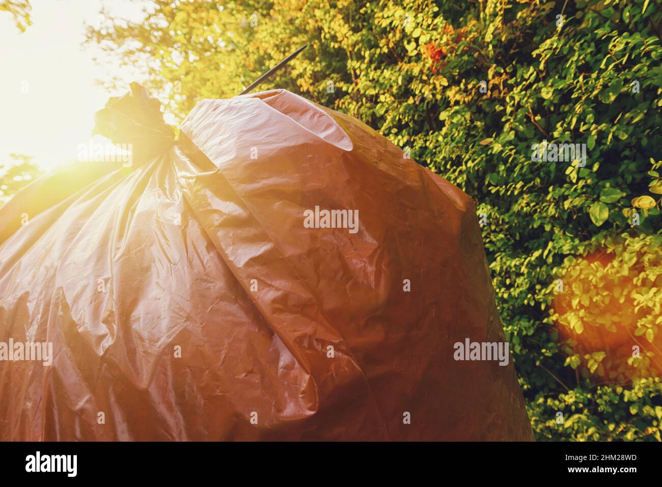 Biodegradable garbage bags for collecting fallen autumn leaves at the