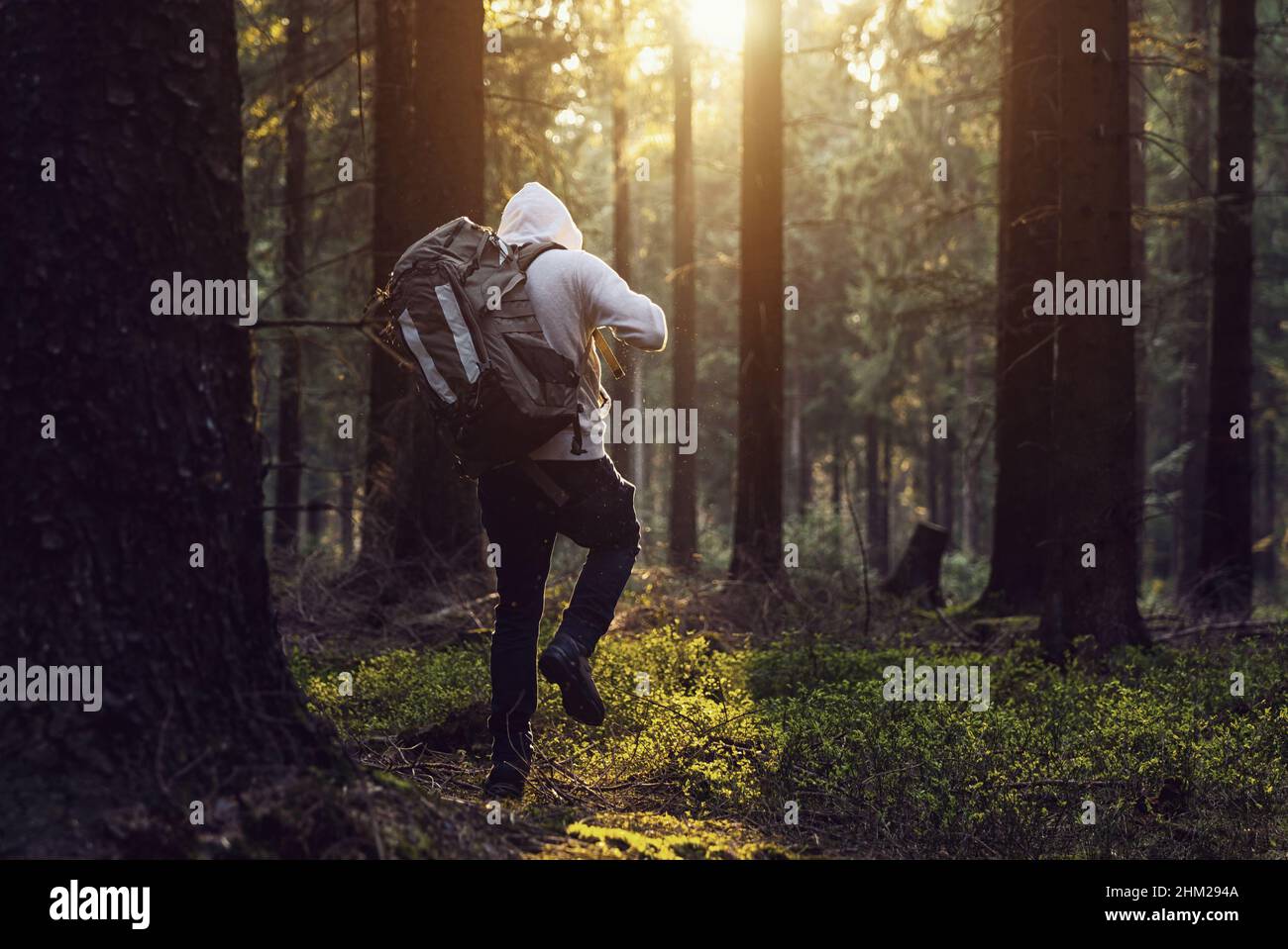 Man hiking in the woods hi-res stock photography and images - Alamy