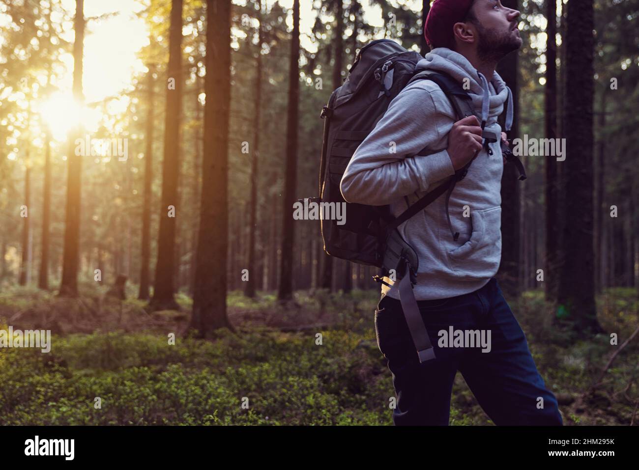 Young man walking in a forest and looking around, nature and exploration concept image Stock Photo