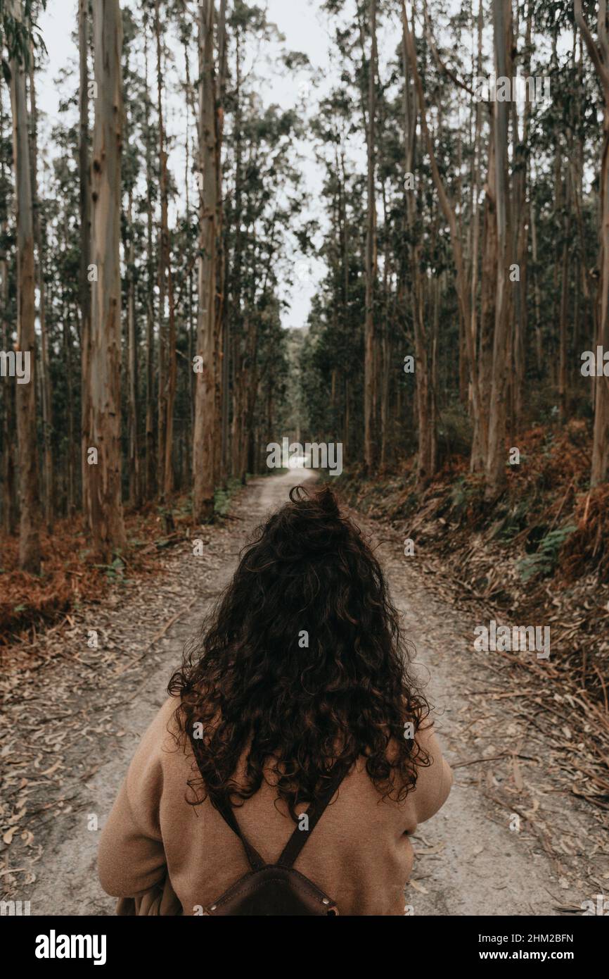 A woman facing a long infinite path in the middle of the forest Stock Photo