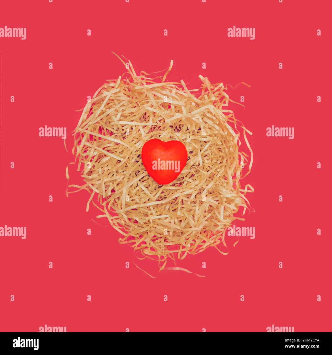 Creative flat lay concept. The love nest made of beige hay and one red heart is a symbol of love and the growth of love. Paradise pink background. Foc Stock Photo