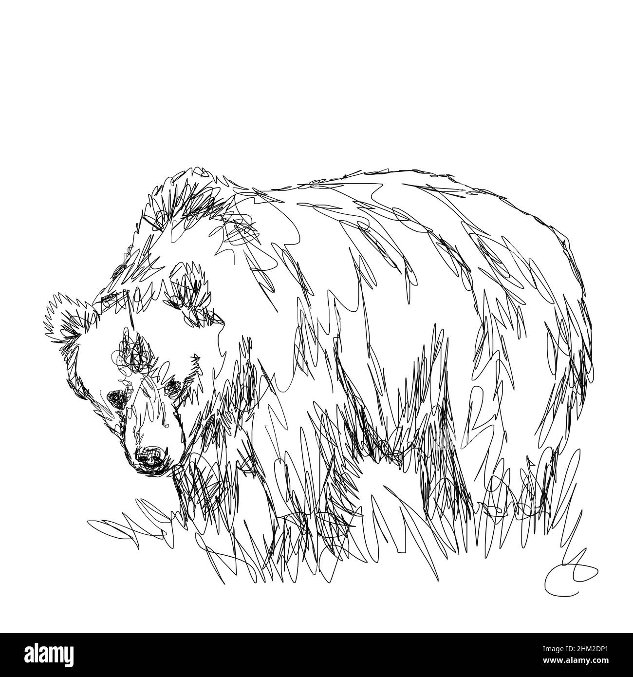 Bear drawings hi-res stock photography and images - Alamy