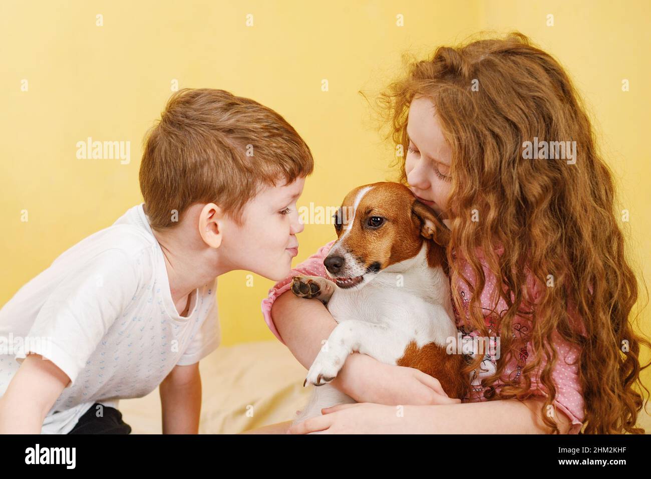 Little girl and boy kissing a puppy jack russell dog. Stock Photo