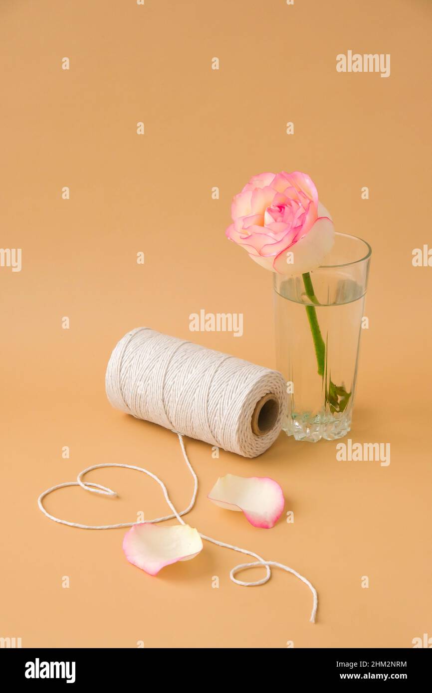 Tender pink roses with spool of white cotton rope in heart shape on ...