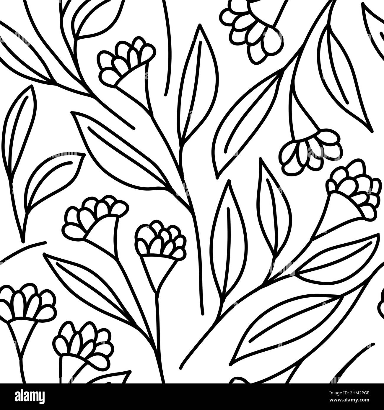 Seamless hand drawn pattern with black and white flowers floral botanical  elements, leaves leaf branch blossom.