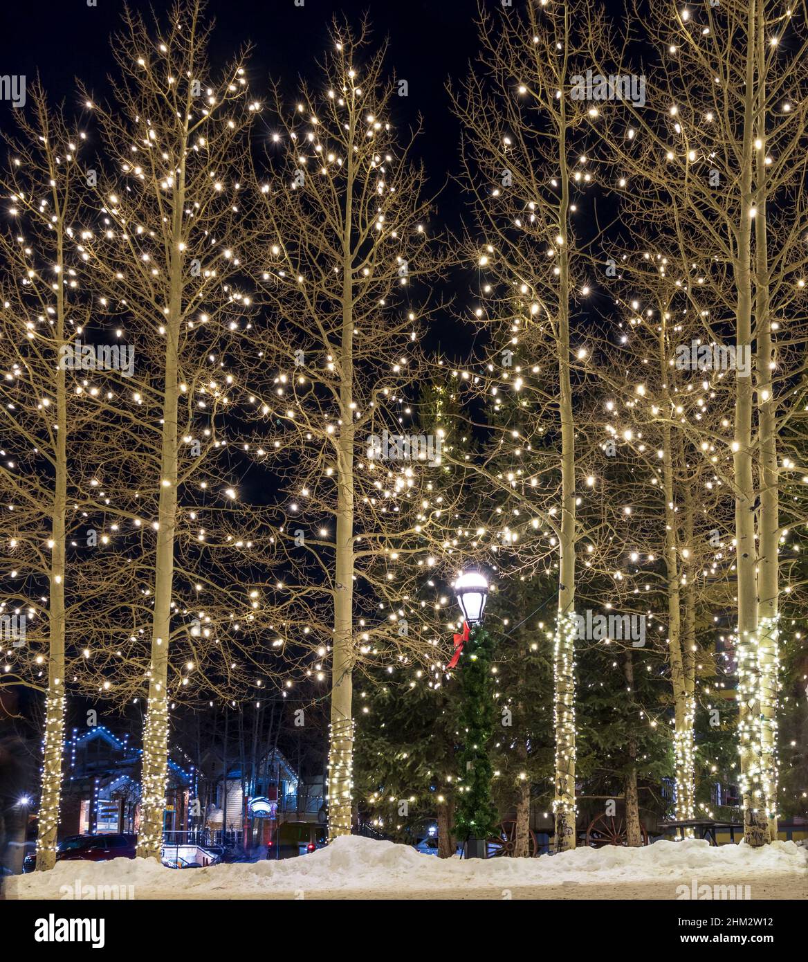 Breckenridge, Colorado. Trees in Downtown at night in the winter with ...