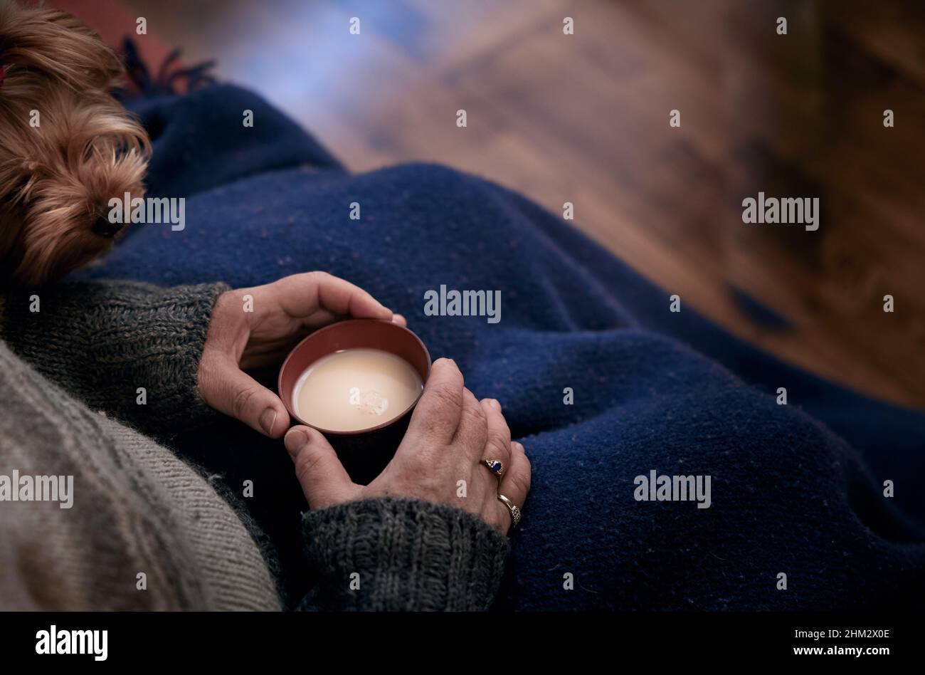 A woman sits hear pet covering her legs with a blue blanket and holds a cup of hot tea with milk in her hands. Stock Photo