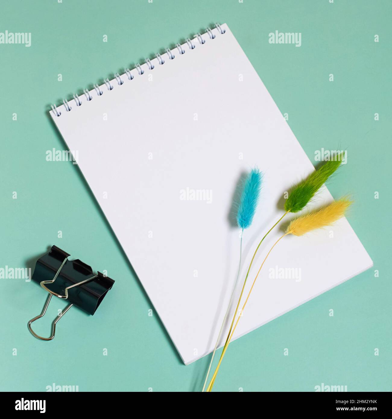 Notepad spring fountain pen hi-res stock photography and images - Alamy
