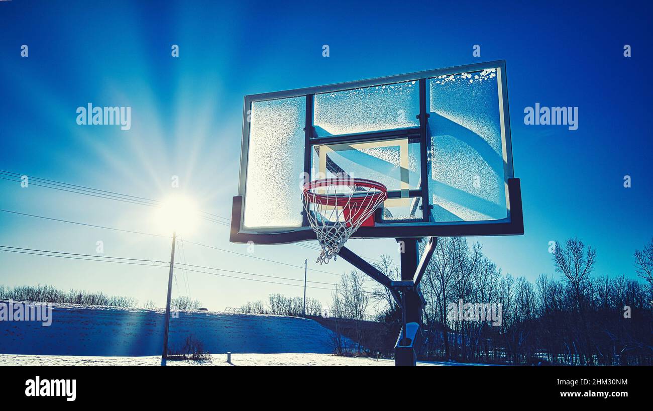 Snow covers the landscape with the sun shining brightly over the snow