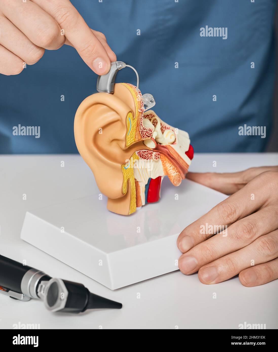 doctor audiologist putting hearing aid on ear anatomical model. Treatment of deafness for hearing impaired with help of hearing aids Stock Photo