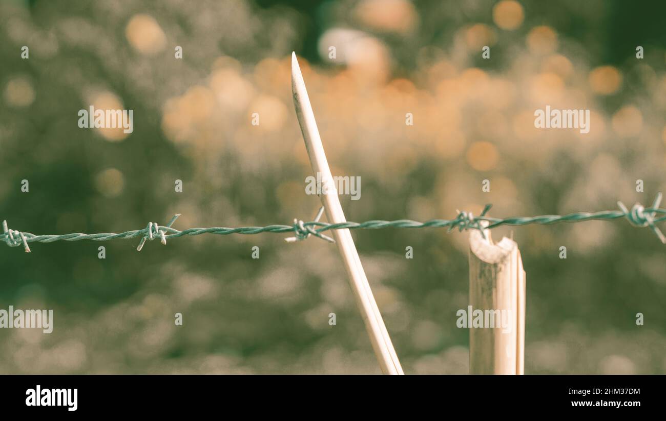 Shallow focus of a piece of wood on Barbed wire fence with blurred ...