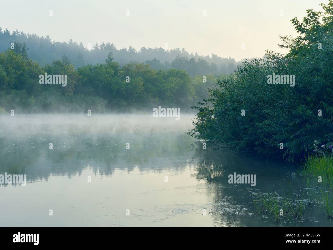 Bushes and trees on the river Bank, the calm surface of the water with reflections and creeping fog, trees on the horizon. A landscape of pure nature Stock Photo
