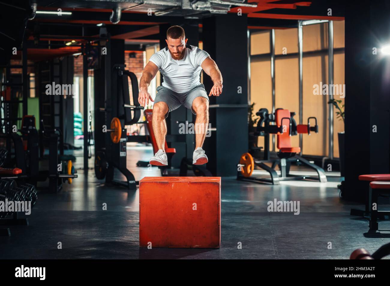 Young bearded athletic man training in the gym jumping at cube. The concept  of fitness Stock Photo - Alamy