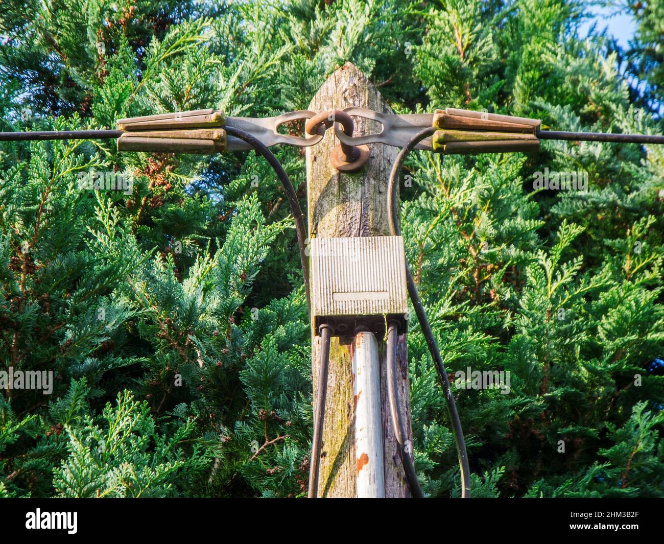 Partial top view of a telegraph pole with distribution box between the incoming and outgoing telephone lines in front of green trees. Stock Photo