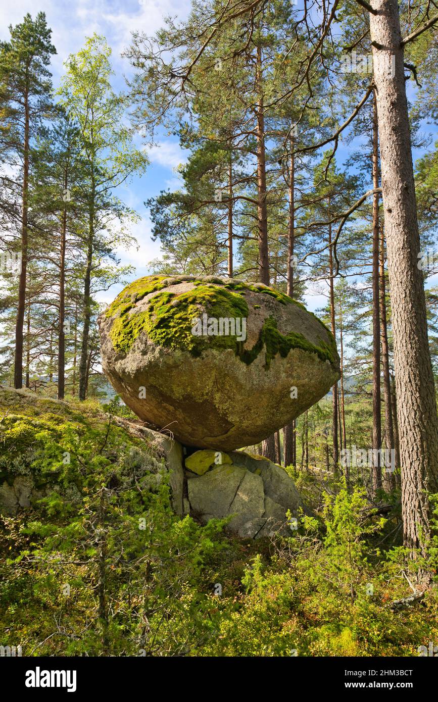 a huge ice age boulder is still barely standing on a rock in smaland sweden, erratic block Stock Photo