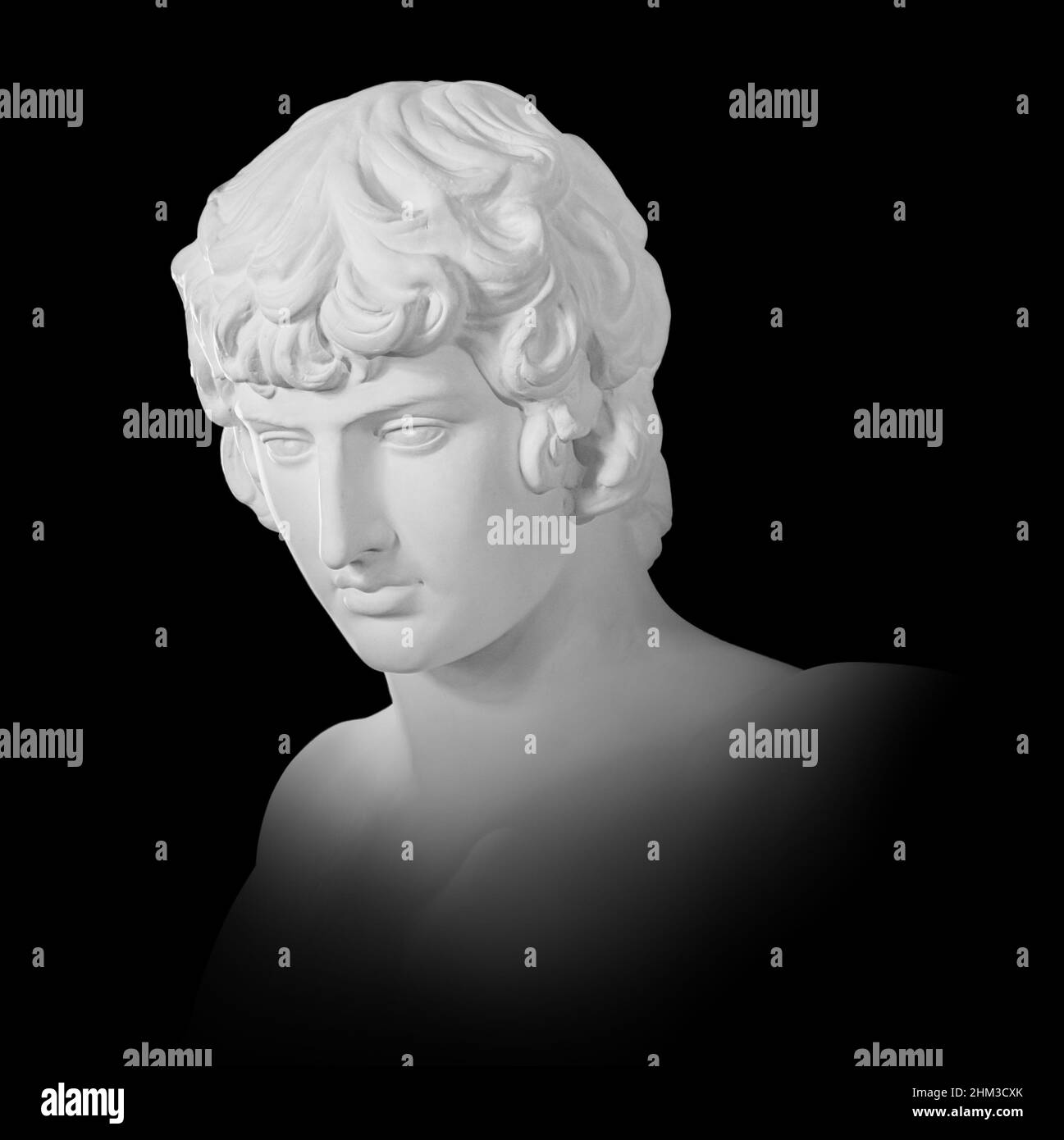 Gypsum copy of famous ancient statue Antinous bust isolated on a black background with clipping path. Plaster antique sculpture young man face Stock Photo