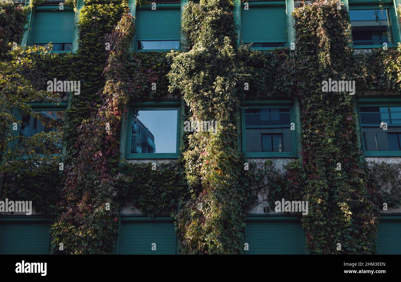 eco-friendly building with green plants in Europe. eco architecture Stock Photo