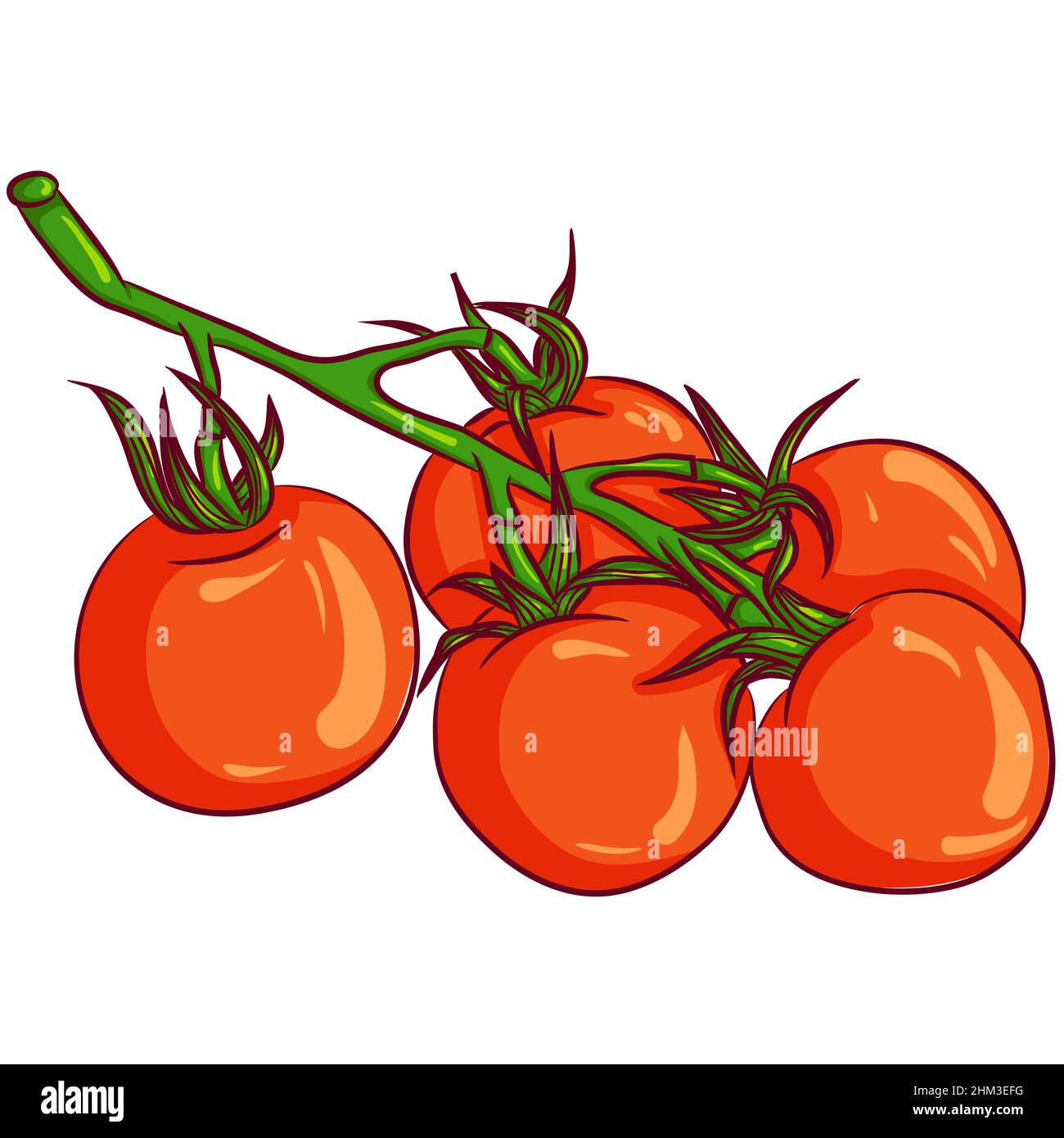 Branch of red tomatoes Stock Vector