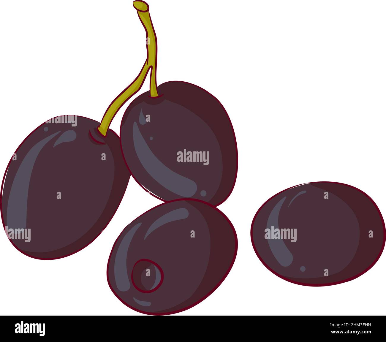 Four black olives Stock Vector