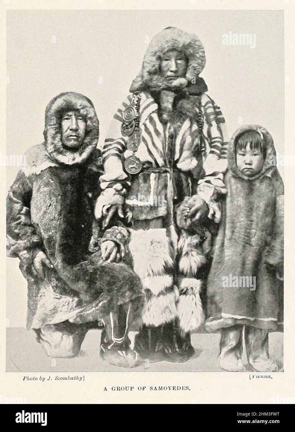 The Nenets also known as Samoyed, are a Samoyedic ethnic group native to northern arctic Russia from the book '  The living races of mankind ' Vol 1 by Henry Neville Hutchinson,, editors John Walter Gregory, and Richard Lydekker, Publisher: London,  Hutchinson & co 1901 Stock Photo