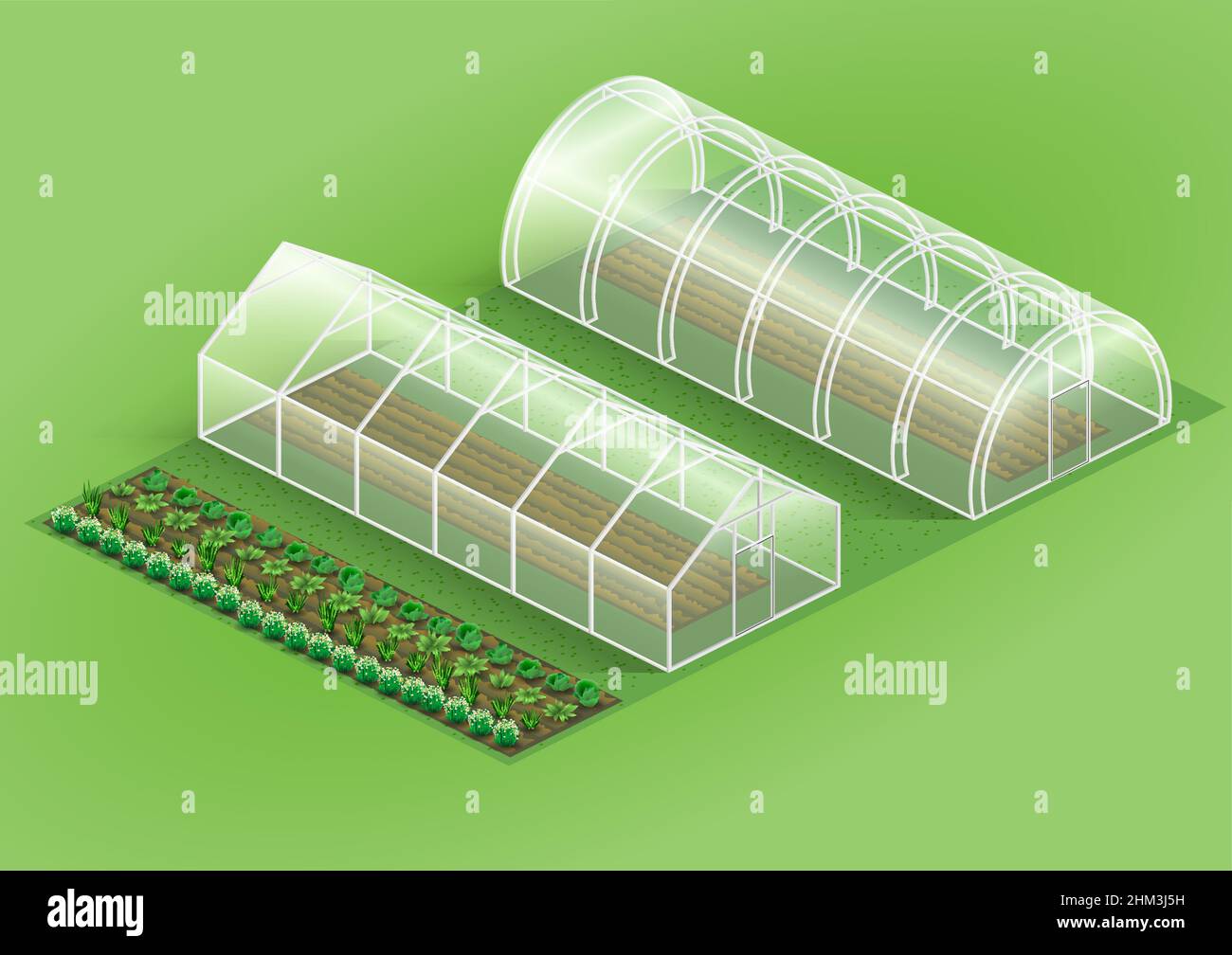 Set of greenhouses for plants Stock Vector
