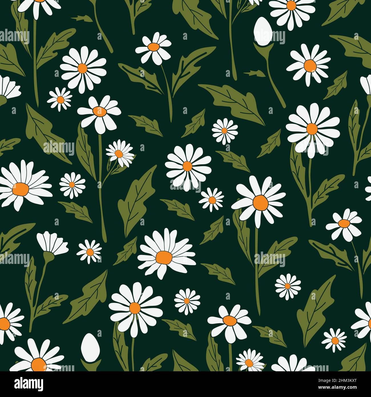 Daisy flowers seamless pattern. Chamomile floral pattern suitable for ...