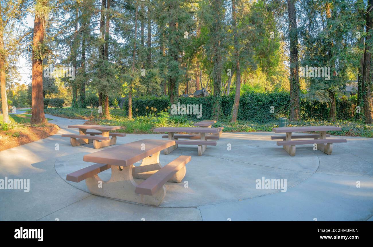 Picnic tables on a concrete ground in the middle of thewoods at