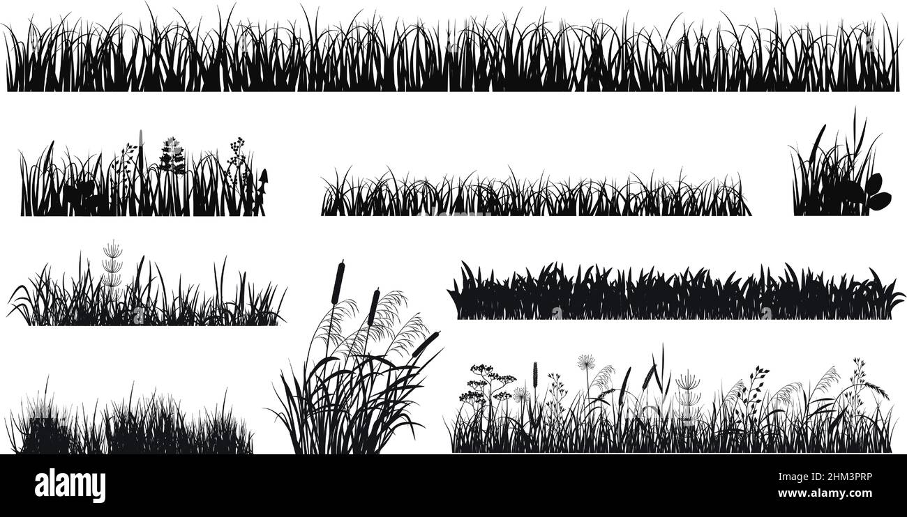 Grass silhouettes. Meadow silhouette, lawn edges or plants. Black isolated botanical garden elements with flowers, herbs and reeds, exact vector set Stock Vector