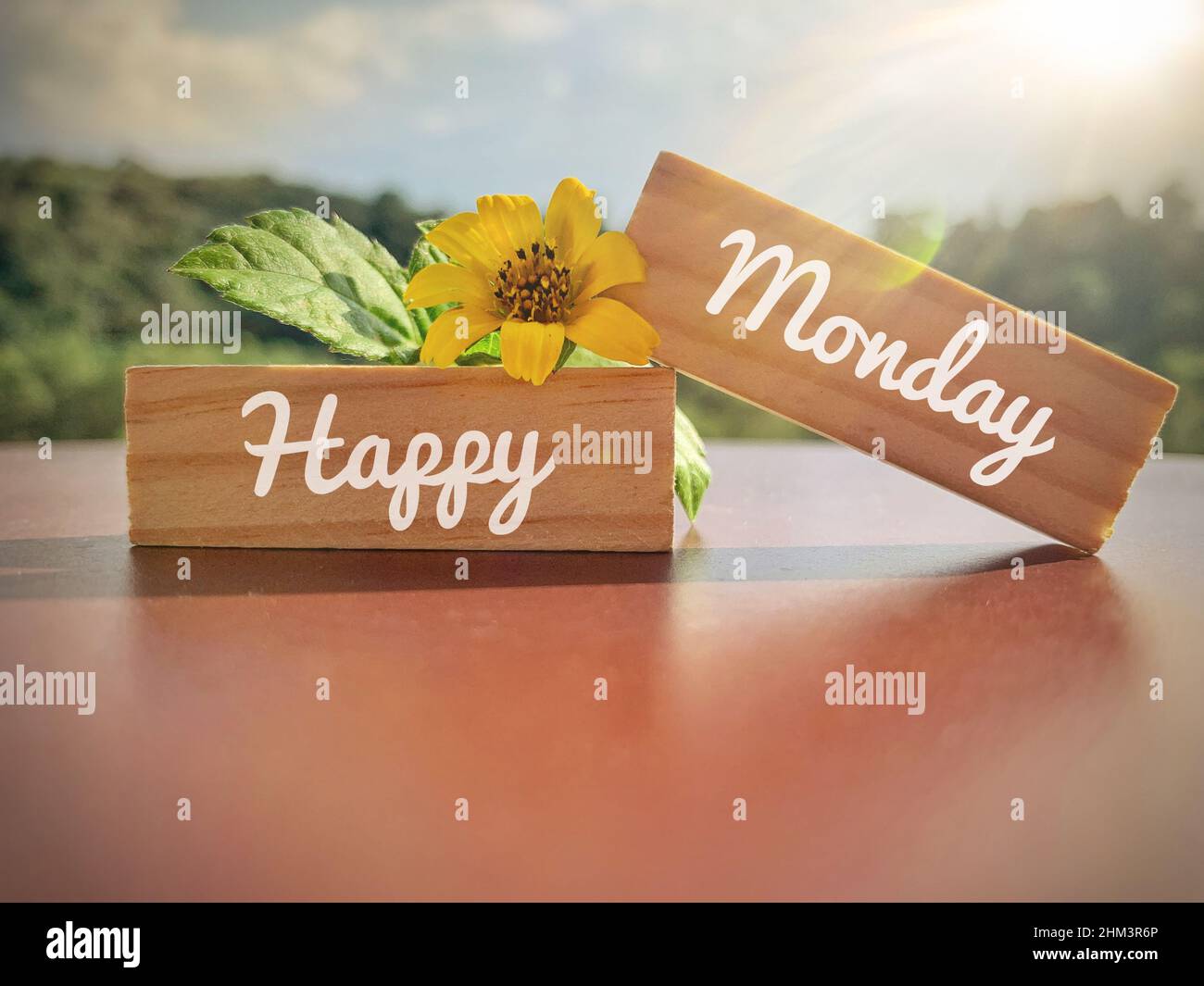 Happy Monday text on wooden blocks with yellow flower and nature ...