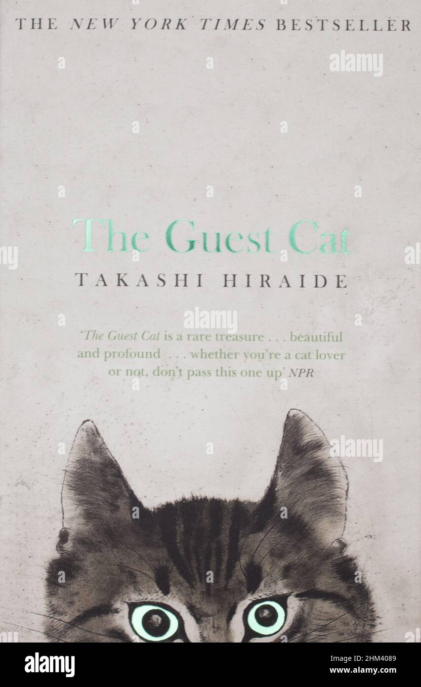 The Book The Guest Cat By Takashi Hiraide Stock Photo Alamy the-book-the-guest-cat-by-takashi-hiraide-stock-photo-alamy