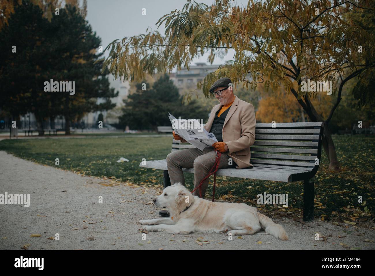 Happy senior man sitting on bench and reading newspaper during dog walk ...