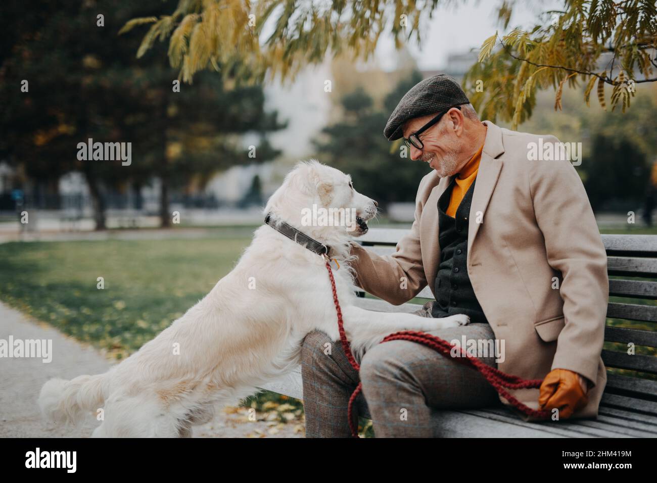 Happy senior man sitting on bench and embracing his dog outdoors in ...