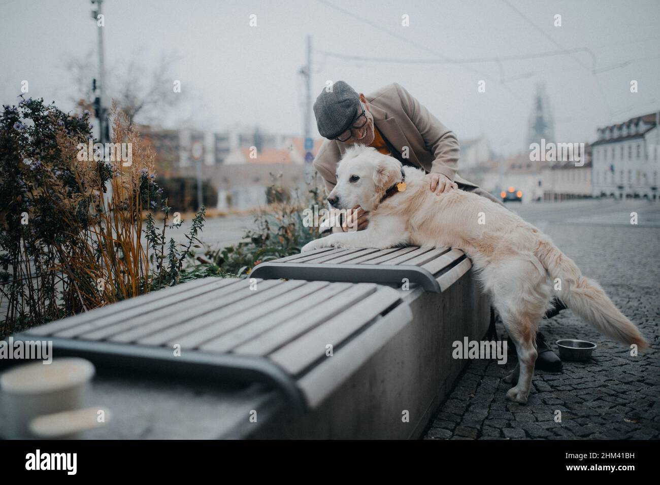Happy senior man sitting on bench and resting during dog walk outdoors ...