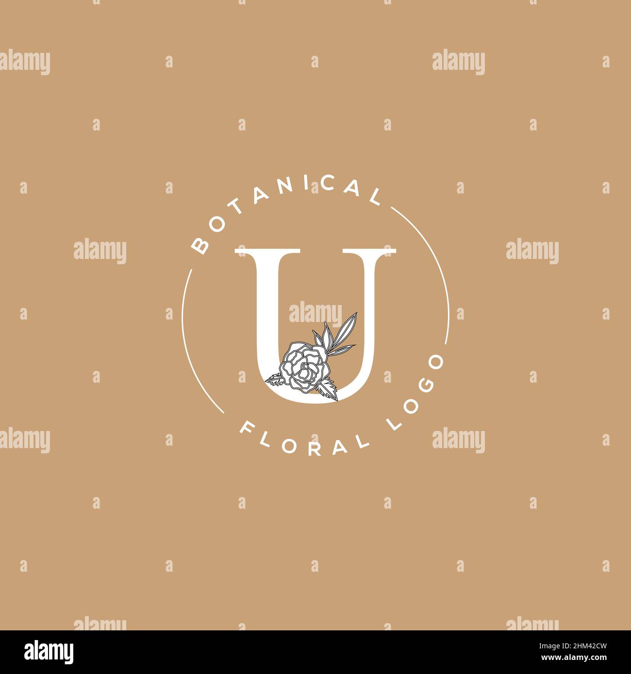 Initial U letter luxury beauty flourishes ornament monogram logo Stock ...