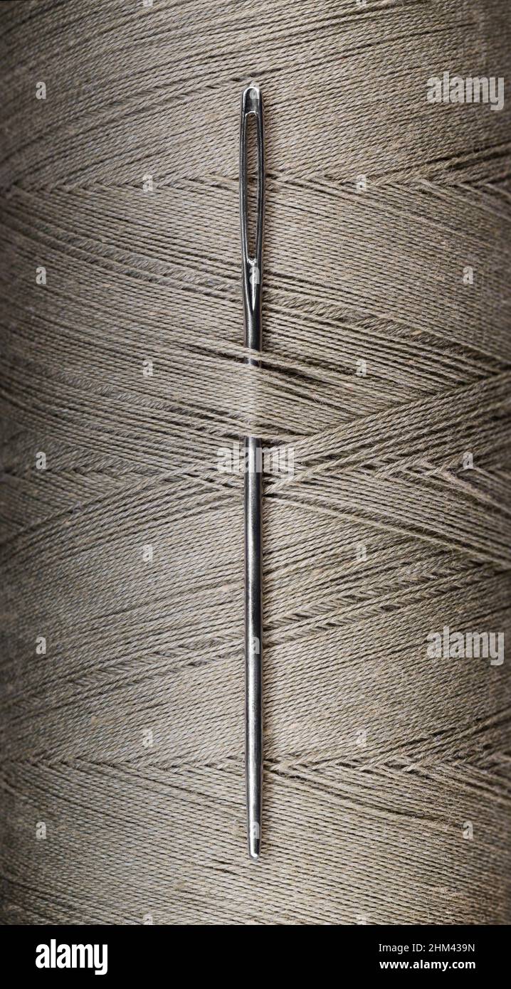 A sewing needle was stuck into a skein of light brown thread. Vertical photography Stock Photo