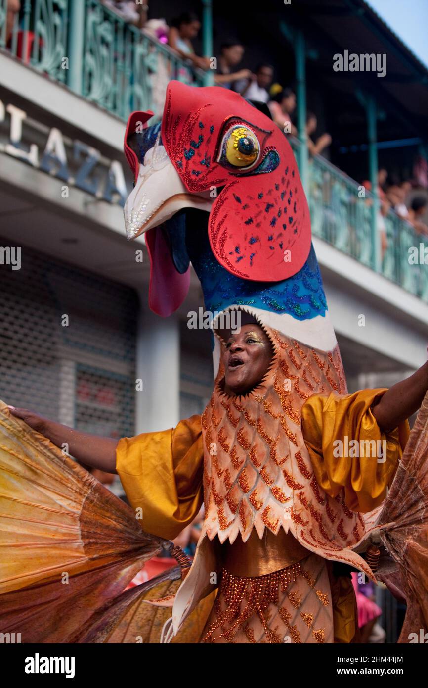 Bird costume carnival hi-res stock photography and images - Alamy