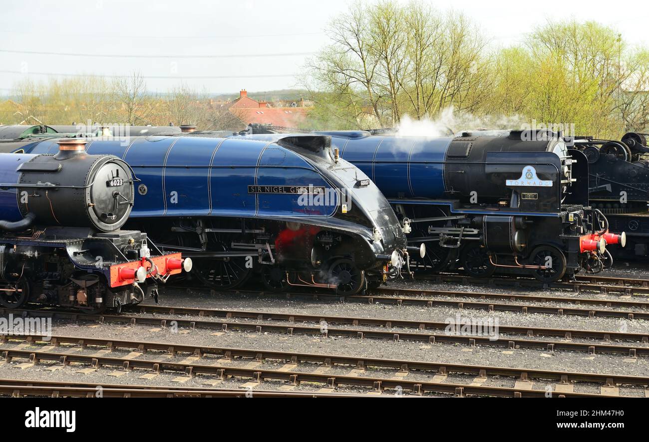 The locomotive line-up at the 'Once in a blue moon' event at Didcot Railway Centre, home of the Great Western Society, 5th April 2014. Stock Photo