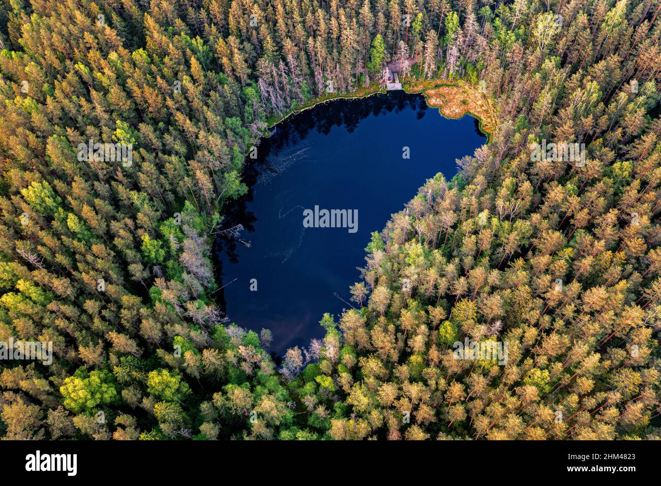 Small lake hidden in the middle of the forest from above with a drone Stock Photo