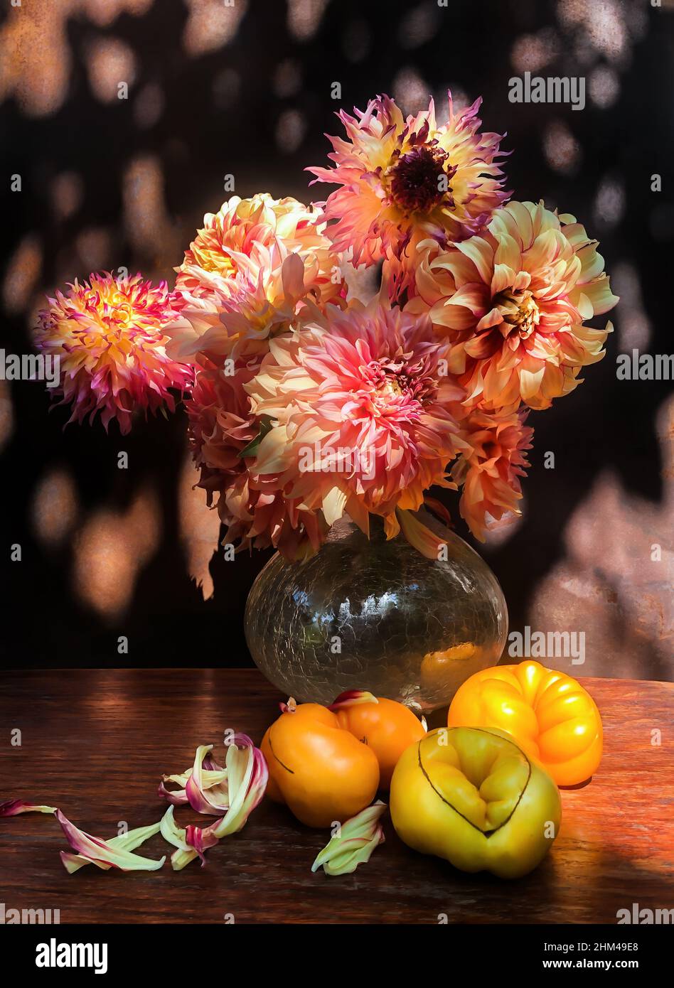 Romantic bouquet with dahlias and tomatoes in the glare of sunlight. Summer bouquets of farm flowers outdoors in the garden. Floristics - art of flowe Stock Photo