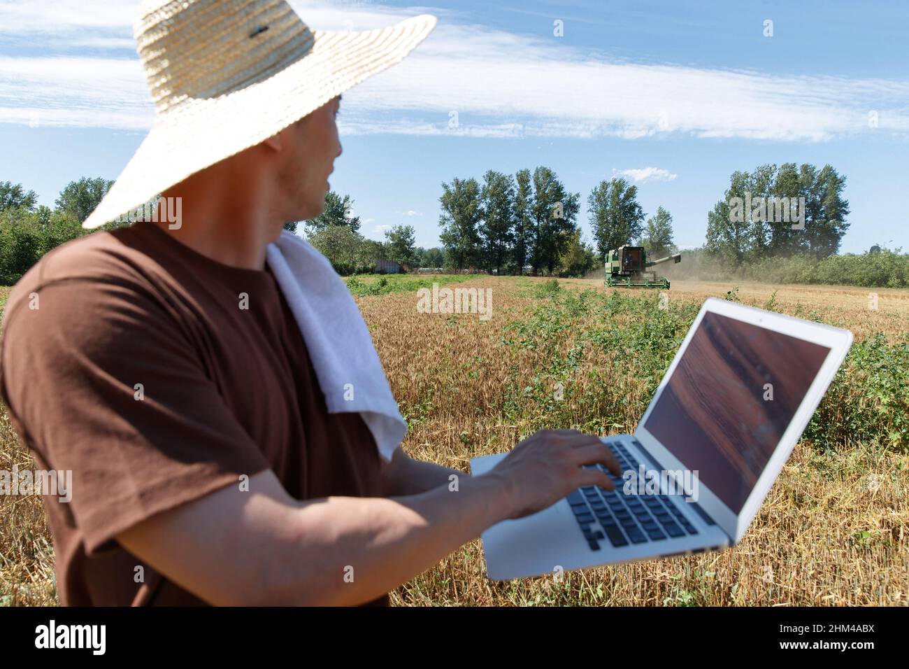Researchers stood beside the wheat field using a computer Stock Photo