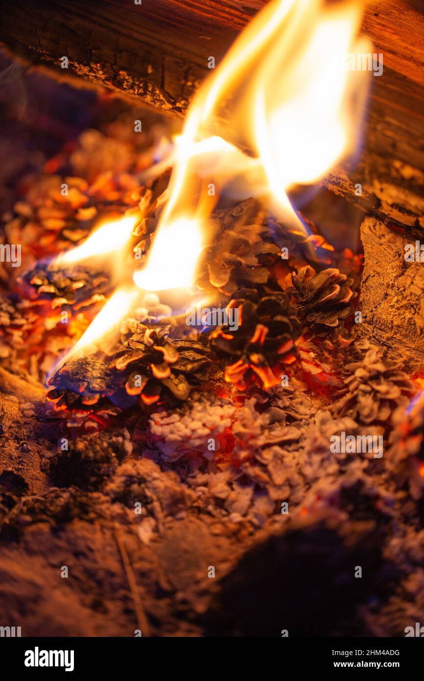 Campfire closeup. Pine cones burning to repell mosquitos Stock Photo