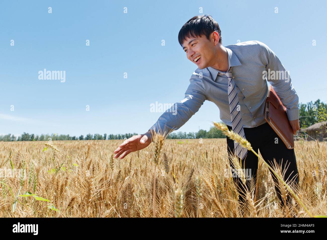 Researchers in the catcher in light fondle grain Stock Photo