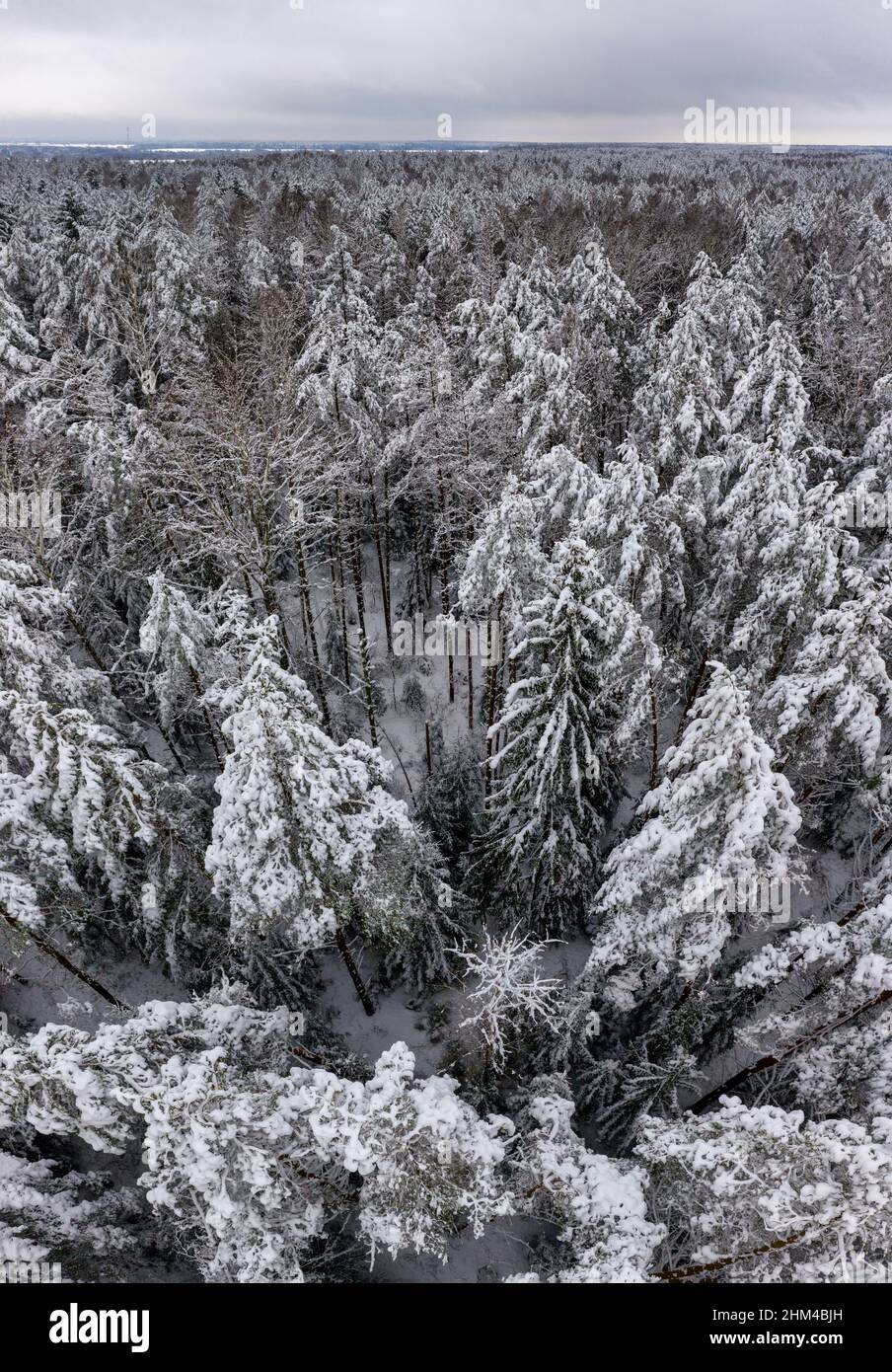 Aerial view on snow covered beautiful winter forest. Fairytale snowfall in Europe Stock Photo