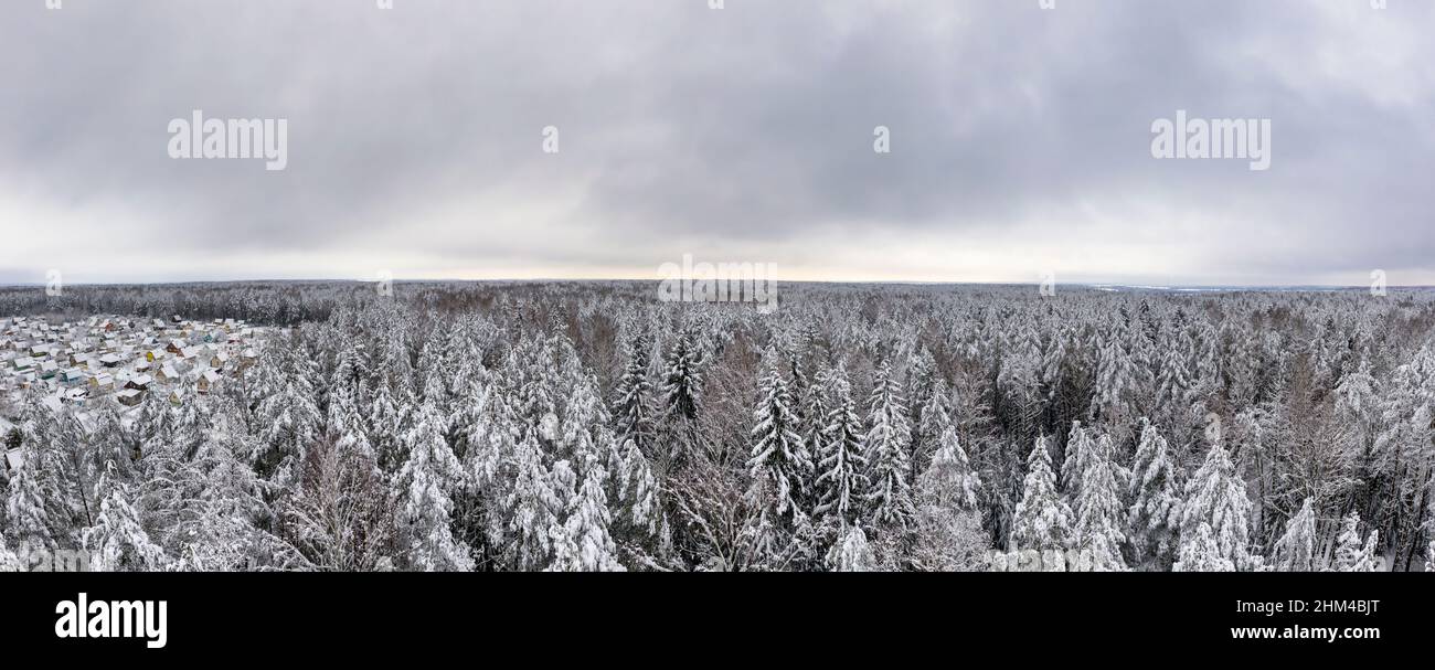 Countryside winter forest covered in snow after blizzard panorama. Europe nature after heavy snowfall Stock Photo