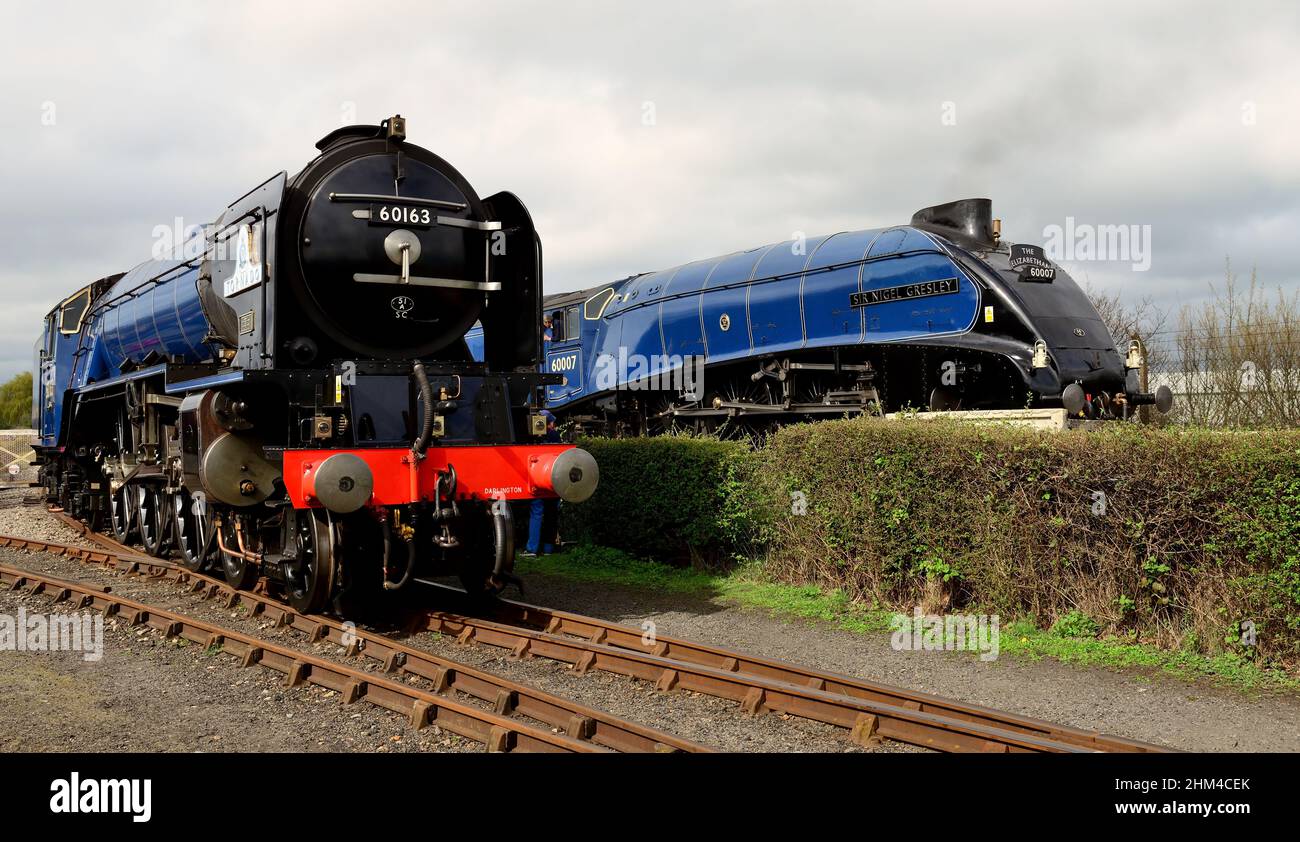 Two of the steam locomotives at the 'Once in a blue moon' event at Didcot Railway Centre, home of the Great Western Society, 5th April 2014. Stock Photo