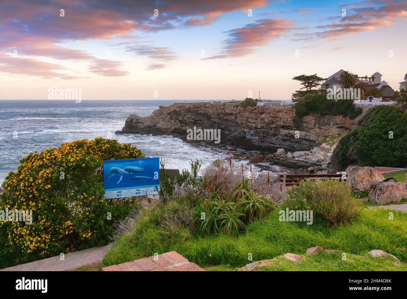 The coastline of Hermanus at sunset, South Africa. In this small town famous for whale watching  is possible to observe various sea mammals Stock Photo