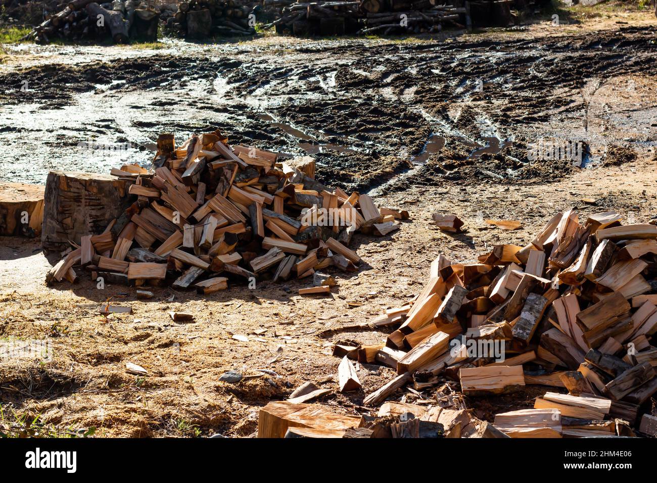 Pile of split logs for firewood with sunlight in the muddy countryside Stock Photo Alamy