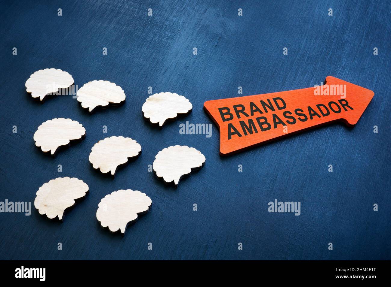Brains and arrow on the surface. Brand ambassador concept. Stock Photo