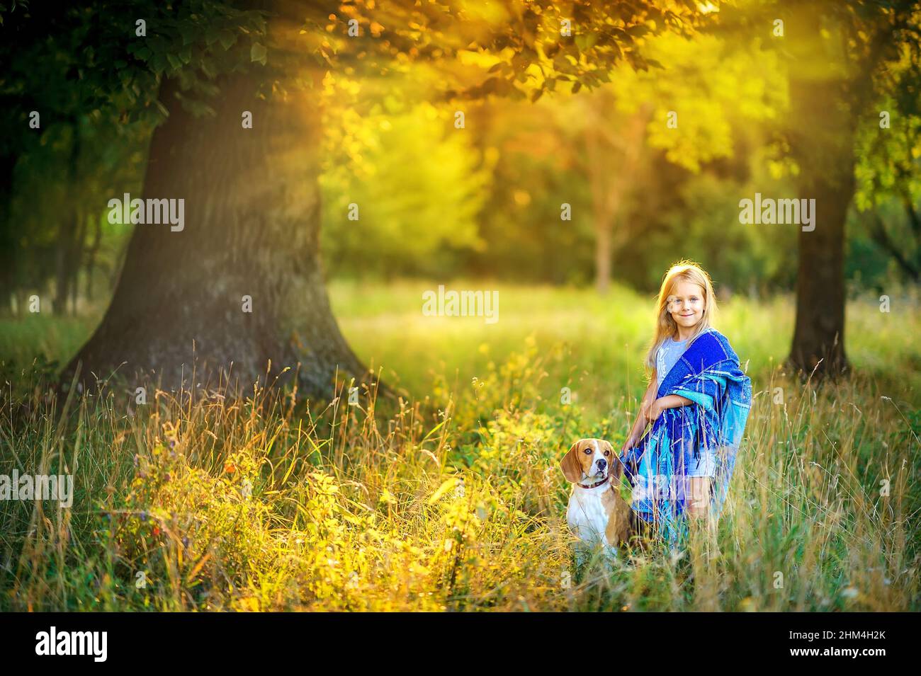 cute girl walks with her beagle puppy in the park at sunset, best friend Stock Photo